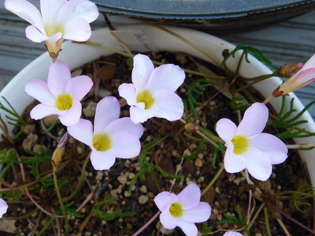 DSCN8362.JPG