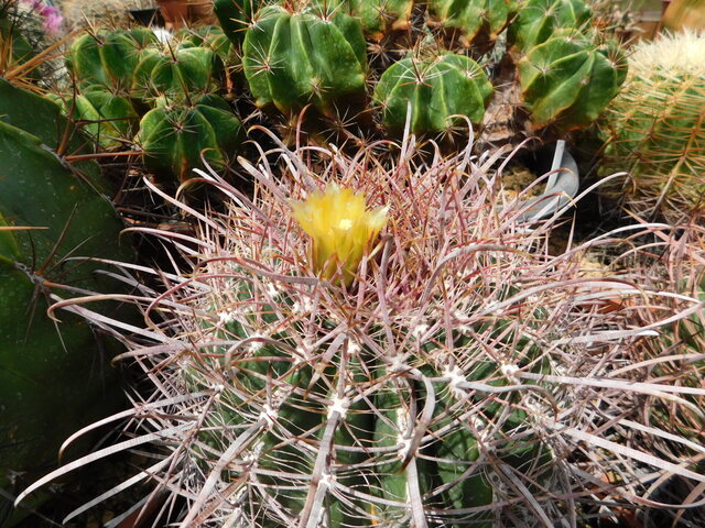DSCN8364.JPG