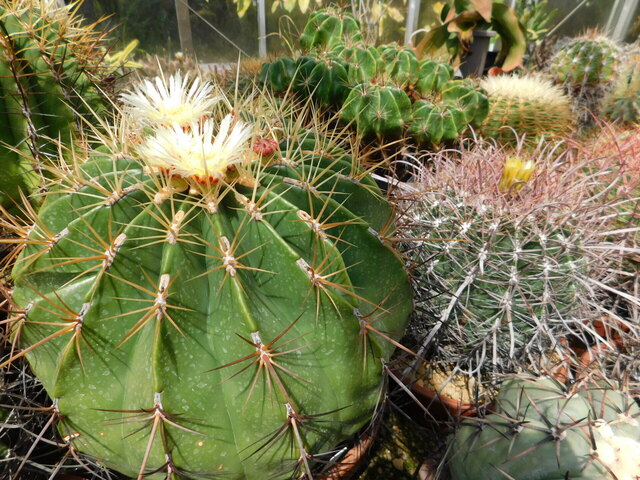 DSCN8369.JPG