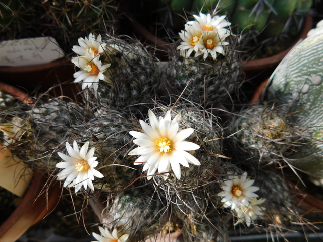 DSCN8369.JPG