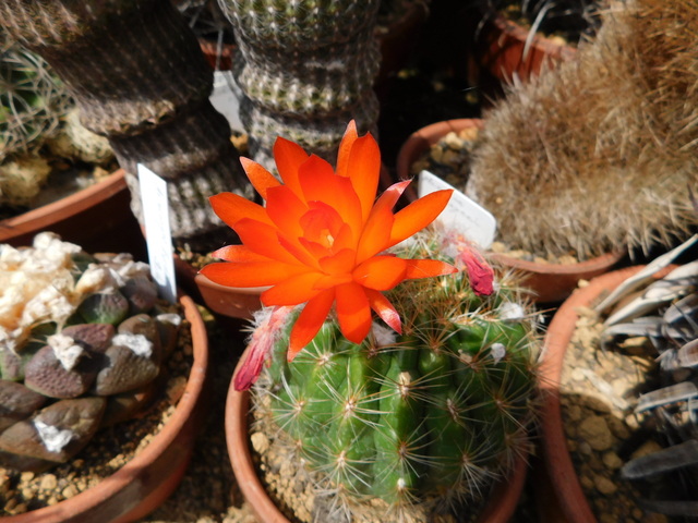 DSCN8371.JPG