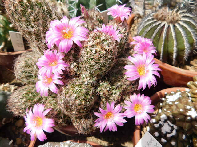 DSCN8384.JPG