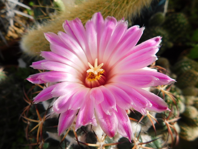 DSCN8384.JPG