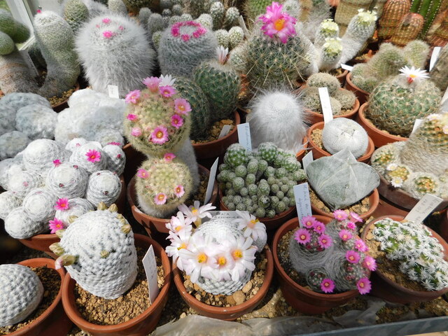 DSCN8391.JPG