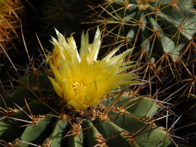 DSCN8391.JPG