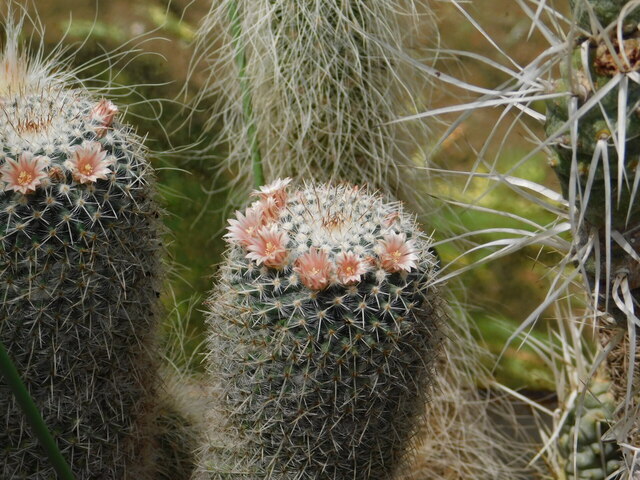 DSCN8397.JPG