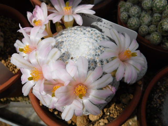 DSCN8403.JPG