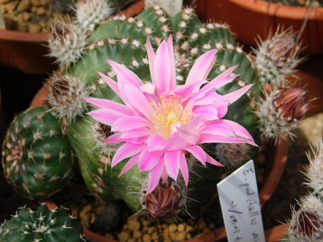 DSCN8407.JPG