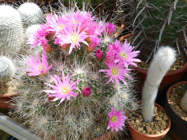 DSCN8428.JPG