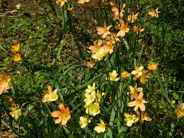 DSCN8430.JPG