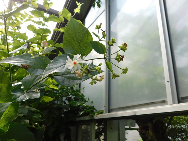 DSCN8434.JPG