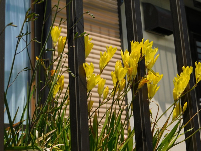 DSCN8436.JPG