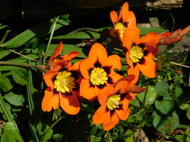 DSCN8439.JPG