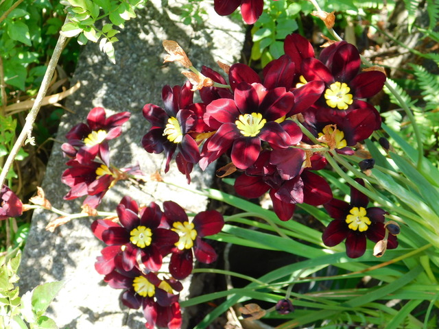 DSCN8440.JPG