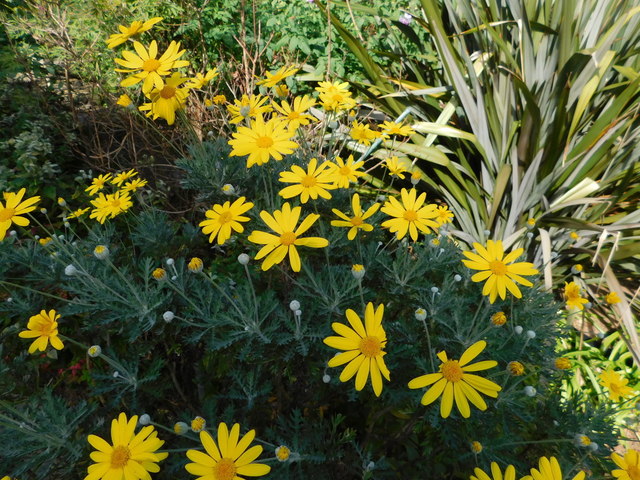 DSCN8445.JPG