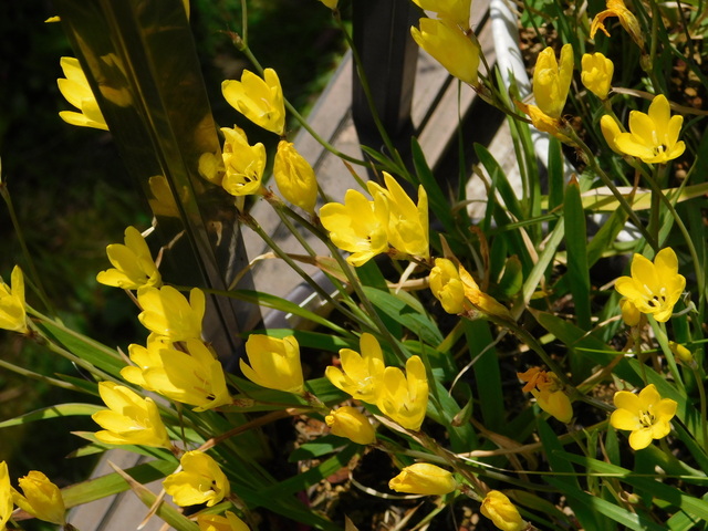 DSCN8447.JPG