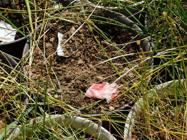DSCN8449.JPG