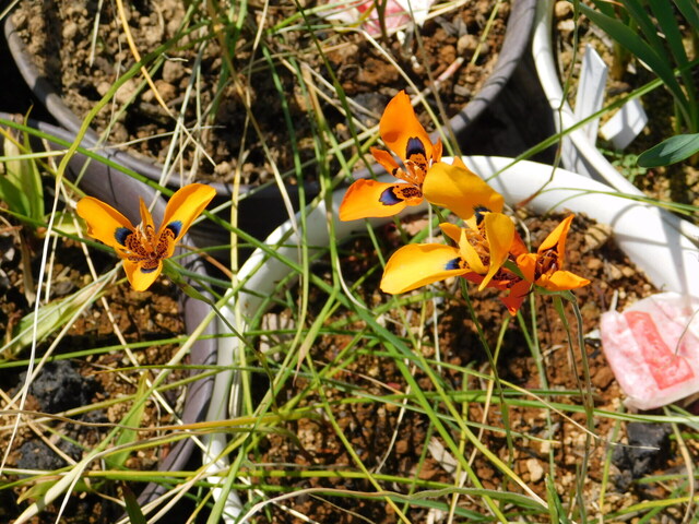 DSCN8452.JPG