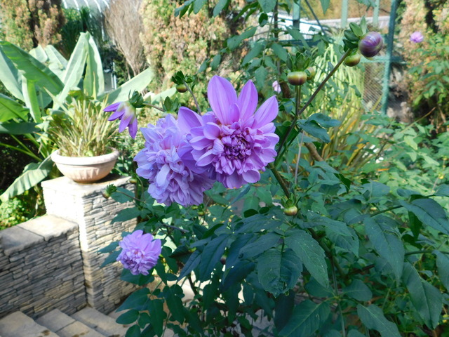 DSCN8452.JPG