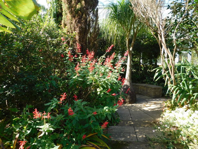 DSCN8456.JPG