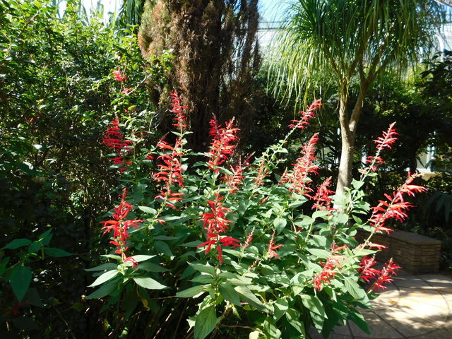DSCN8457.JPG