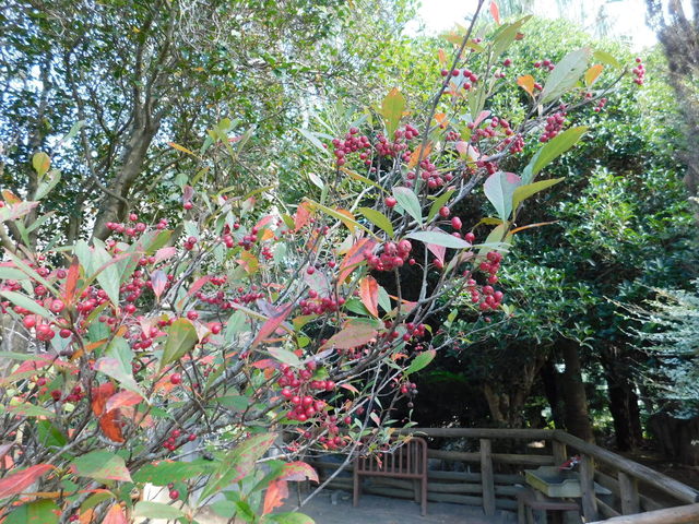 DSCN8460.JPG