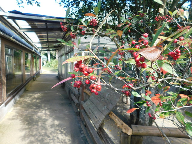 DSCN8462.JPG