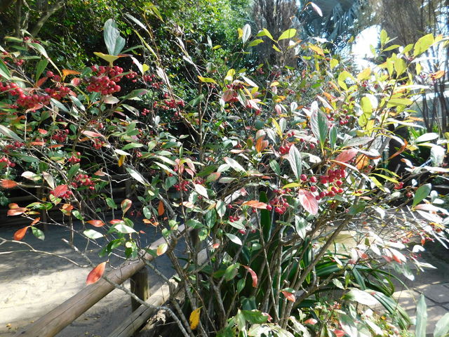 DSCN8464.JPG