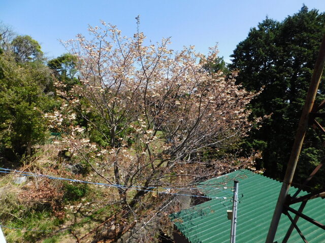 DSCN8474.JPG