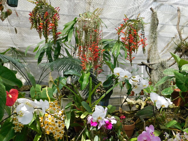 DSCN8498.JPG