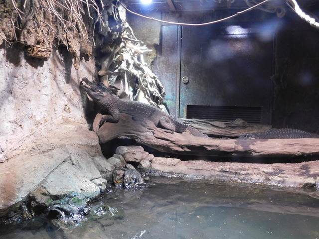 DSCN8504.JPG