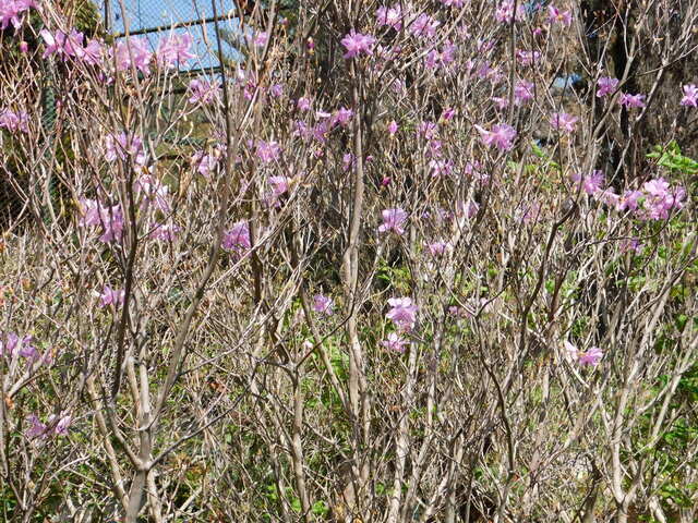 DSCN8505.JPG