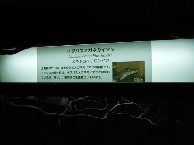 DSCN8511.JPG