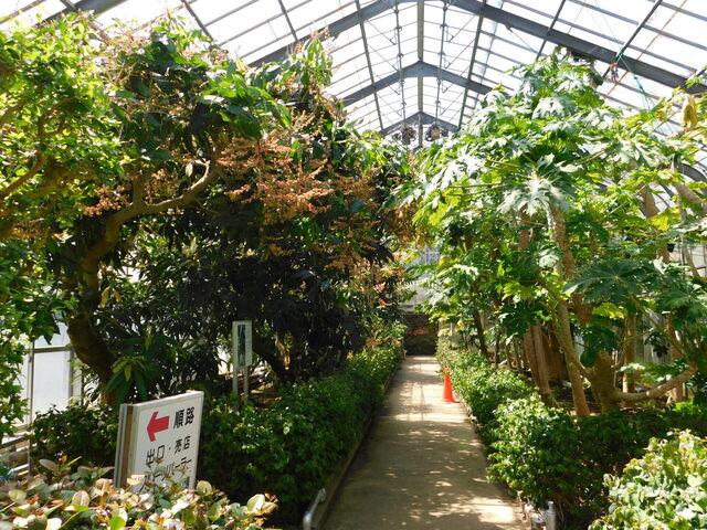 DSCN8518.JPG