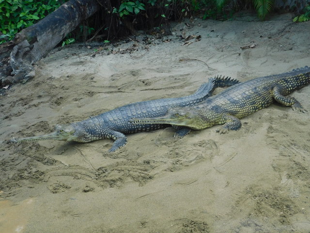 DSCN8519.JPG