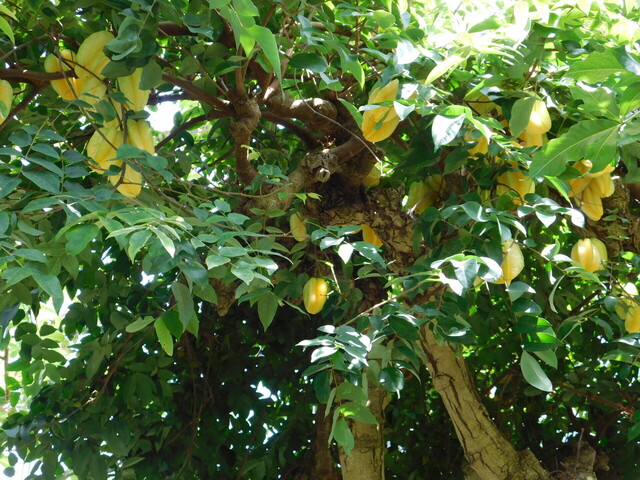 DSCN8527.JPG
