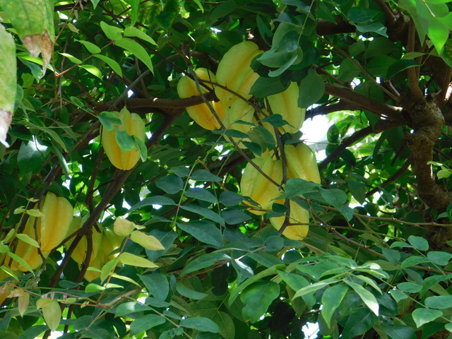 DSCN8529.JPG