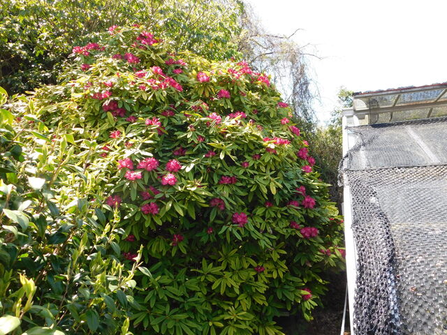 DSCN8534.JPG