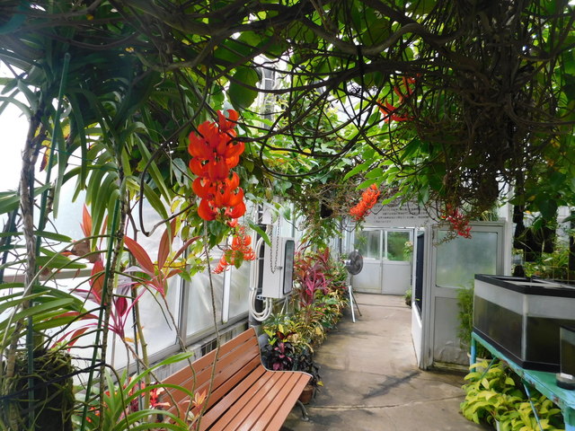 DSCN8543.JPG