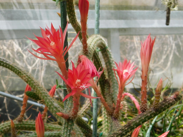 DSCN8560.JPG