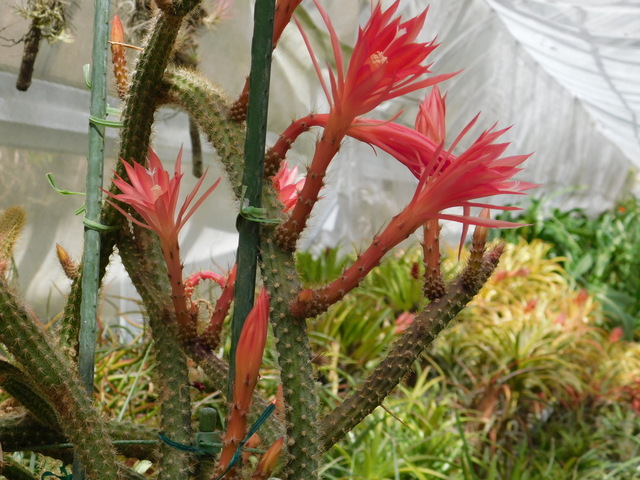 DSCN8563.JPG