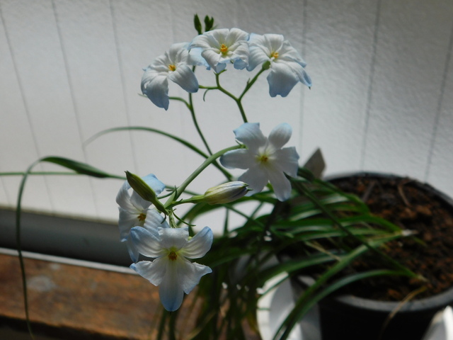 DSCN8565.JPG