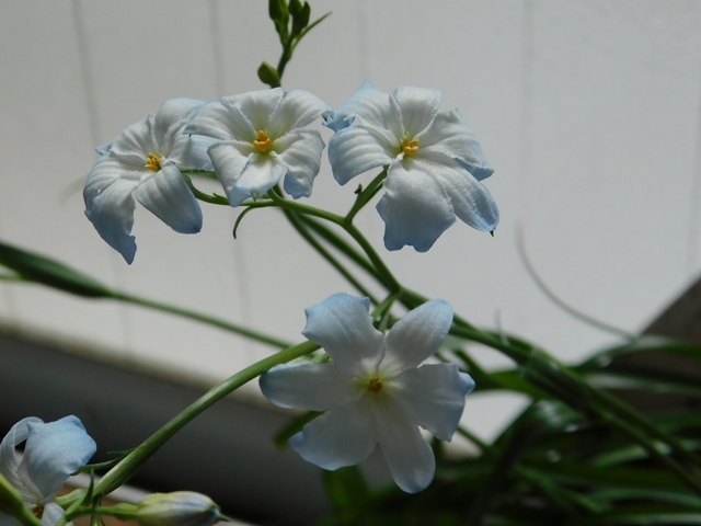DSCN8566.JPG