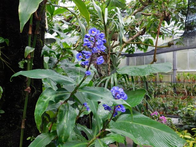 DSCN8571.JPG