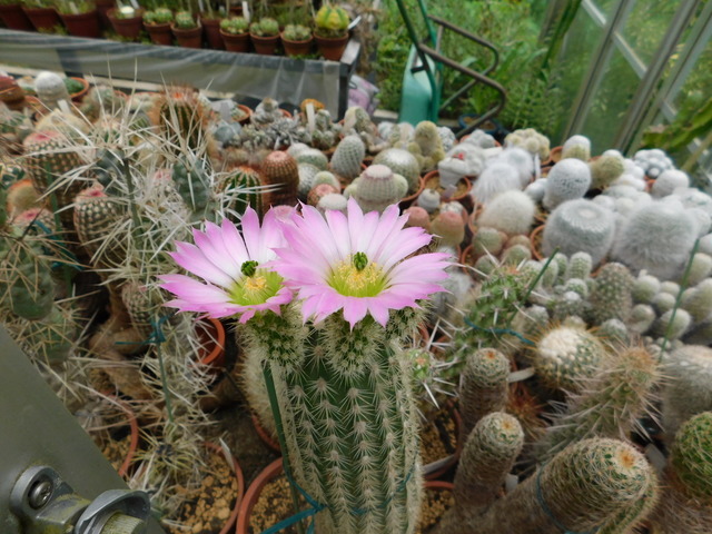 DSCN8585.JPG