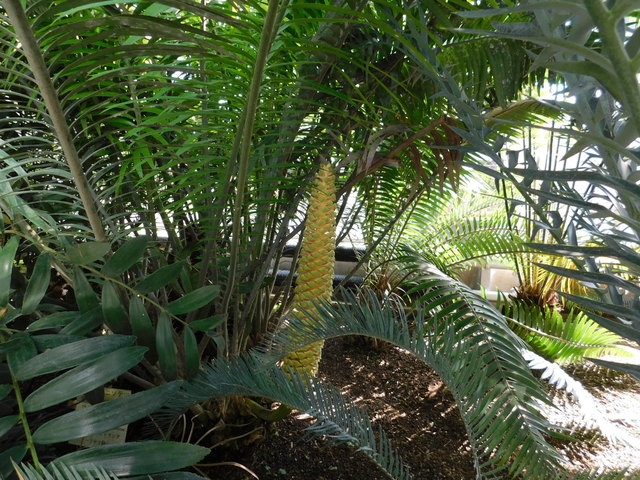 DSCN8598.JPG