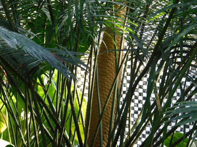 DSCN8604.JPG