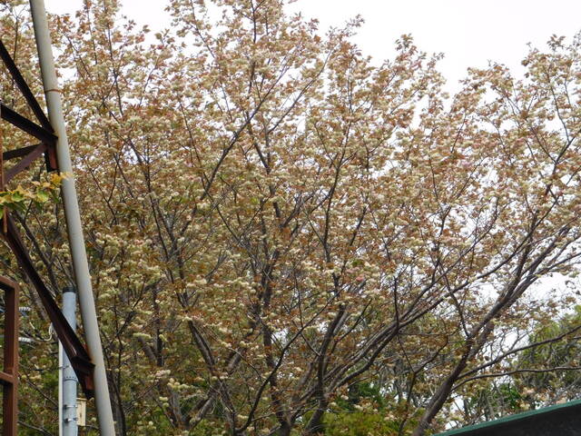 DSCN8649.JPG