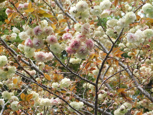 DSCN8653.JPG