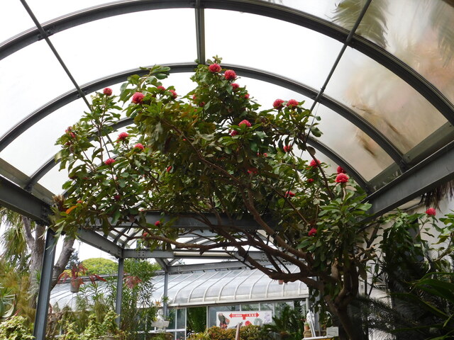 DSCN8658.JPG